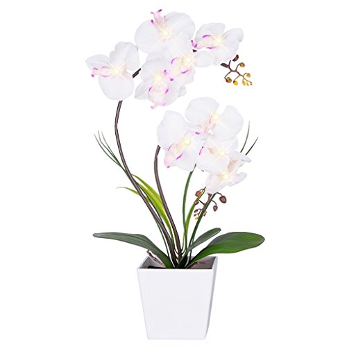 HOMESEASONS LED Lighted Artificial Phalaenopsis Orchid Arrangement with 9 Lights,White