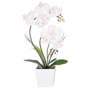 HOMESEASONS LED Lighted Artificial Phalaenopsis Orchid Arrangement with 9 Lights,White